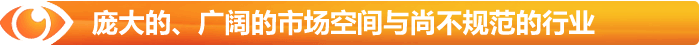 無與倫比的廣闊市場空間與尚不規(guī)范的行業(yè)