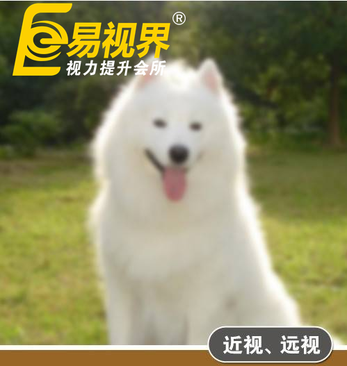 不一樣的眼病，不一樣的世界