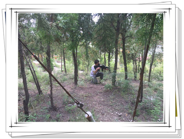 迅速進入狀態(tài)的易視界精英