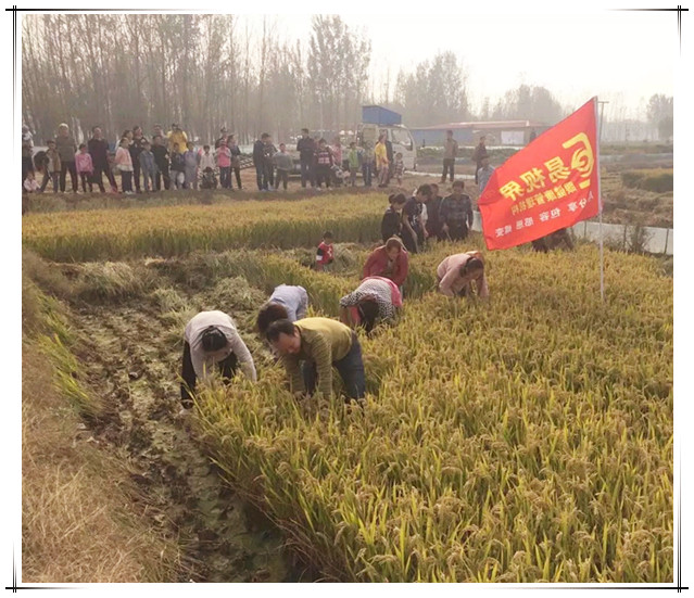 易視界秋季水稻莊園自駕游活動(dòng)圓滿結(jié)束