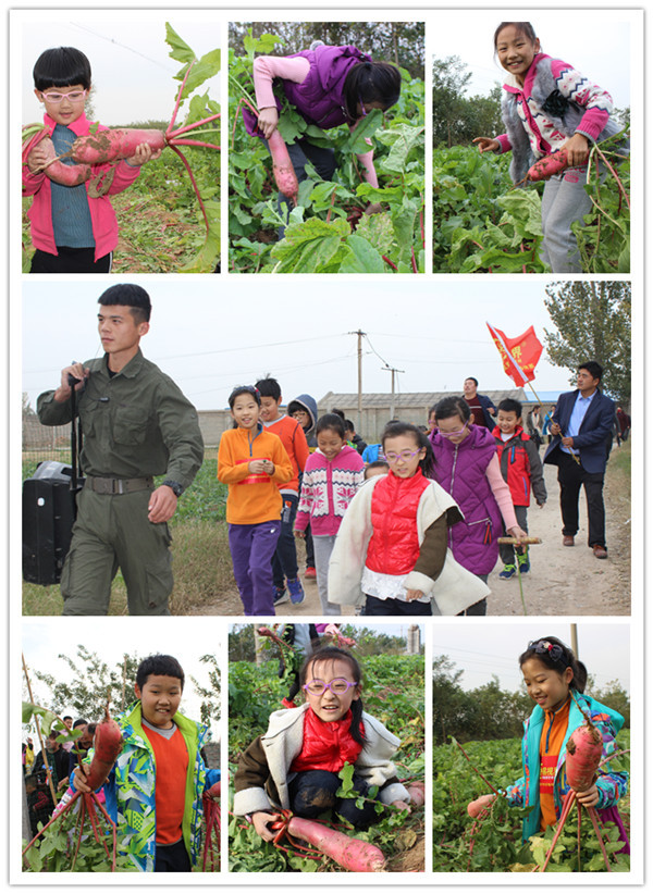 拔到蘿卜，好開(kāi)心有木有